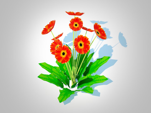 Gerbera - Gerbera Daisy Orange Flower 3D Модель