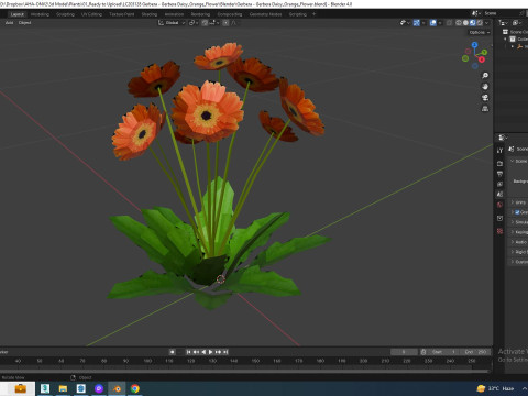 Gerbera - Gerbera Daisy Orange Flower 3D Модель
