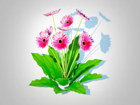 Gerbera - Gerbera Daisy Pink Flower 3D Model