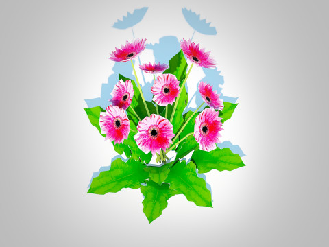 Gerbera - Gerbera Daisy Pink Flower Model 3D