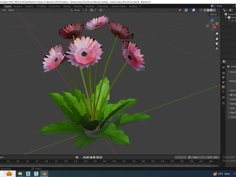 Gerbera - Gerbera Daisy Pink Flower 3D Model