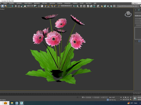 Gerbera - Gerbera Daisy Pink Flower Model 3D