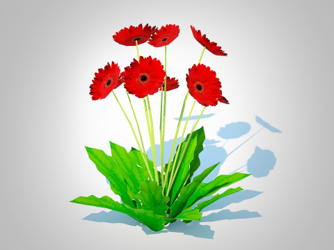 Gerbera - Gerbera Daisy Red Flower 3D मॉडल