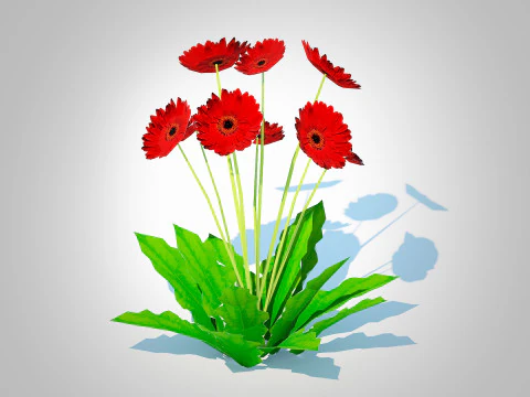 G&eacute;rbera - G&eacute;rbera Margarida Flor Vermelha Modelo 3D