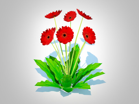 Gerbera - Gerbera Daisy Red Flower 3D Model