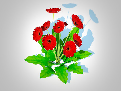 Gerbera - Gerbera Daisy Red Flower 3D Model