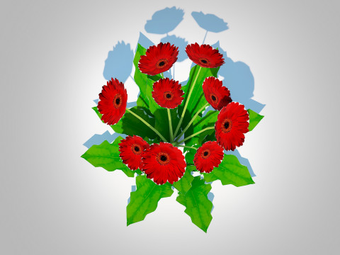 Gerbera - Gerbera Daisy Red Flower 3D Model