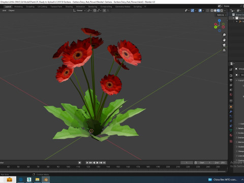 Gerbera - Gerbera Daisy Red Flower 3D Model