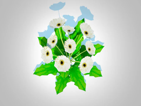 Gerbera - Gerbera Daisy White Flower 3D Model