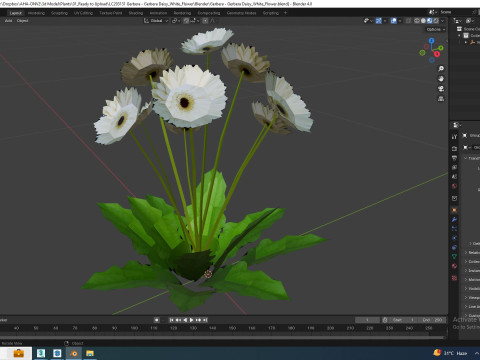 Gerbera - Gerbera Daisy White Flower 3Dモデル