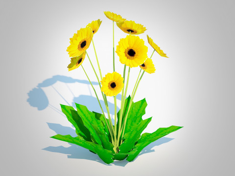 Gerbera - Gerbera Daisy Yellow Flower Model 3D