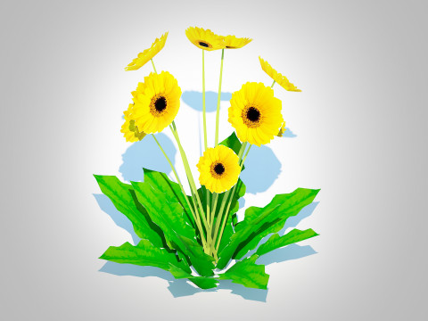 Gerbera - Gerbera Daisy Yellow Flower Model 3D