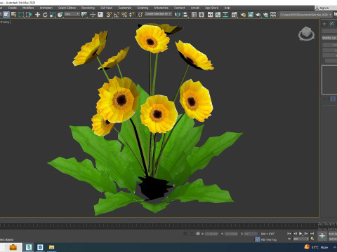 Gerbera - Gerbera Daisy Yellow Flower Model 3D