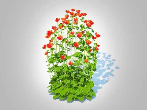 Geum Sunkist Lime Geum 3Dモデル