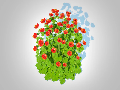 Geum Sunkist Lime Geum 3D Model