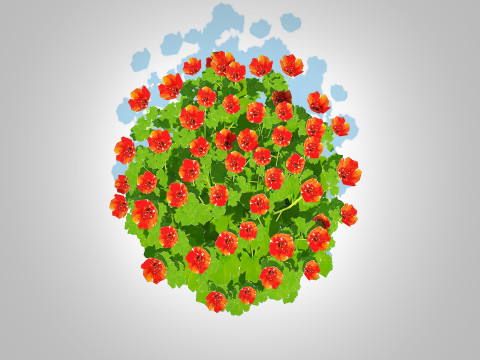 Geum Sunkist Lime Geum Model 3D