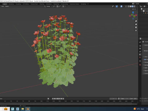 Geum Sunkist Lime Geum 3D Model