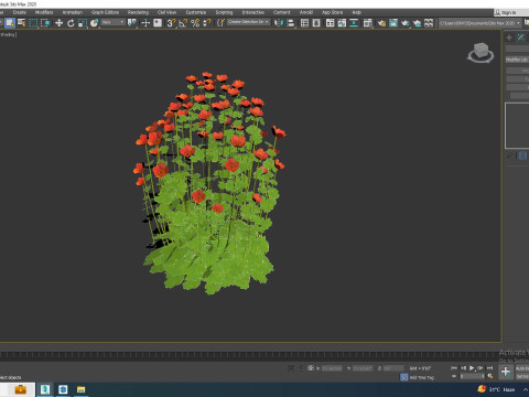 Geum Sunkist Lime Geum Model 3D