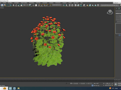 Geum Sunkist Lime Geum 3D Model