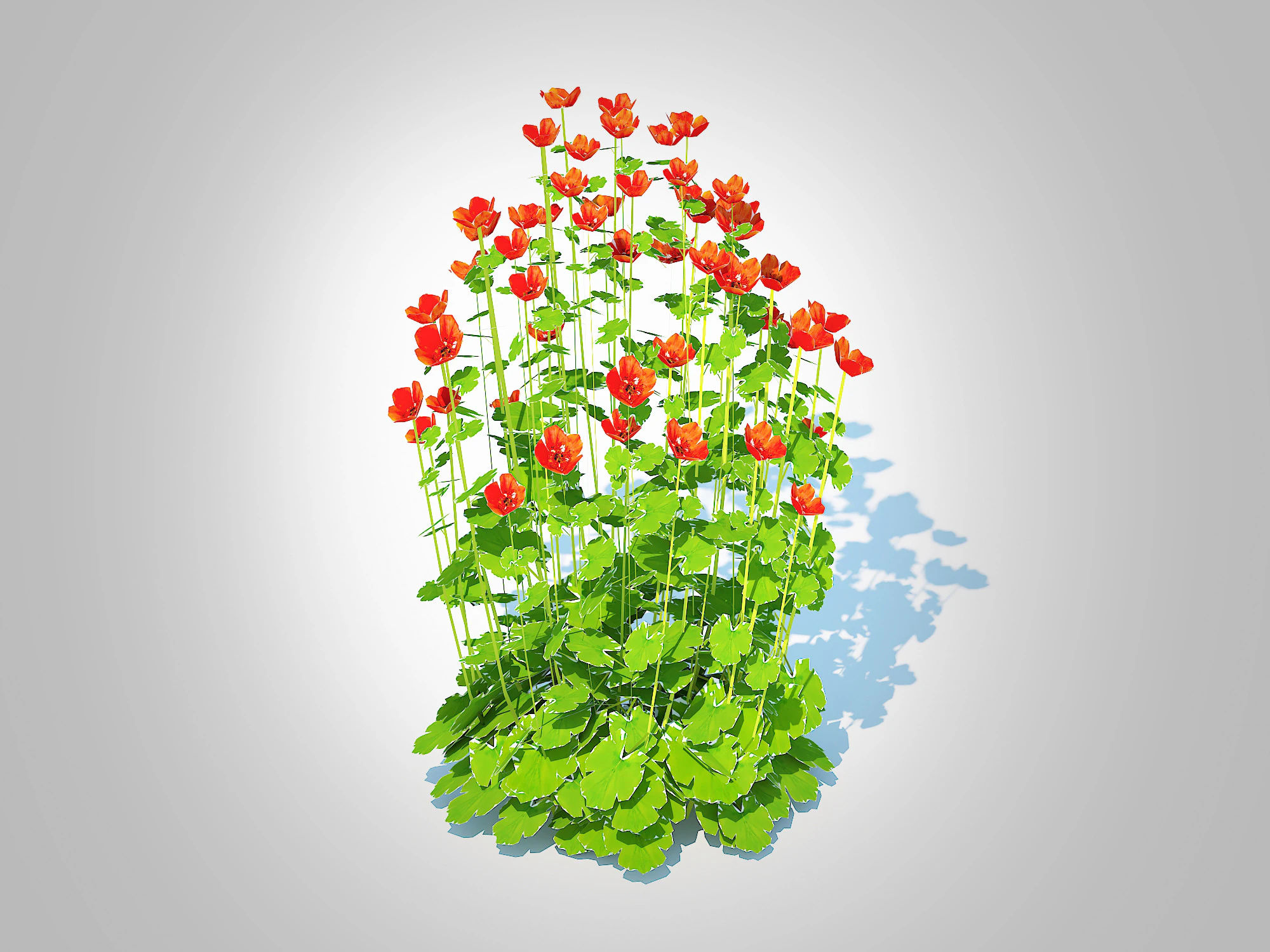 Geum -Totally Tangerine 3D Model .c4d .max .obj .3ds .fbx .stl .blend