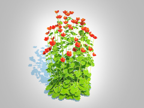 Geum -Totally Tangerine 3D Модель