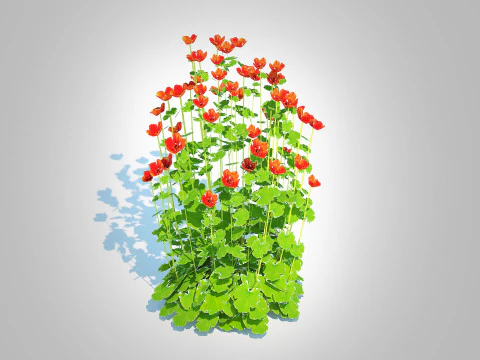 Geum -Totally Tangerine 3D Model