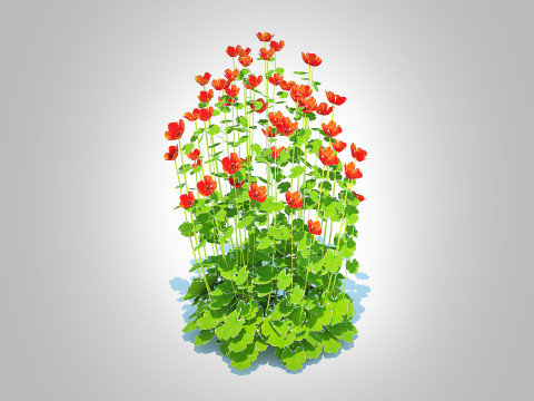 Geum -Totally Tangerine 3D Модель