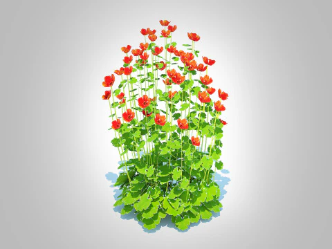 Geum -Totally Tangerine 3D Model