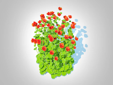 Geum -Totally Tangerine 3D Model