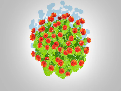 Geum -Totally Tangerine 3D Model