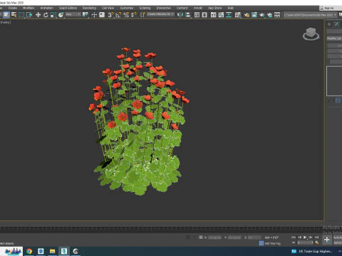 Geum -Totally Tangerine 3D Model