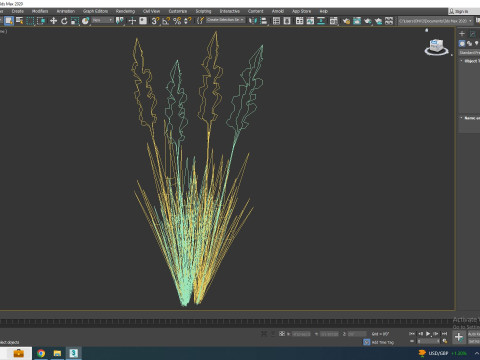 Gladiolus x hortulanus 3D Model