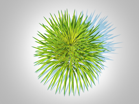 Hakonechloa - forest grass 3D 모델