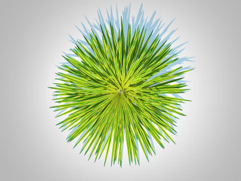 Hakonechloa - forest grass 3D Model