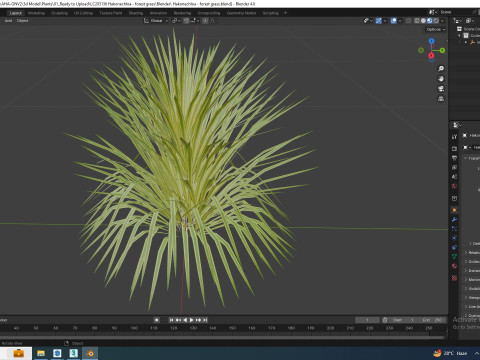 Hakonechloa - forest grass 3D 모델