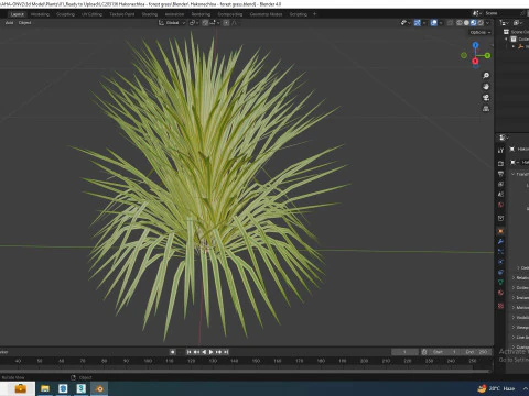 Hakonechloa - forest grass 3D Model