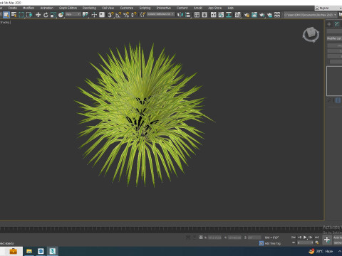 Hakonechloa - forest grass 3D 모델