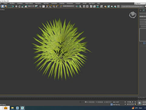 Hakonechloa - forest grass 3D Model
