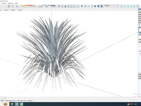 Hakonechloa - forest grass 3D 모델
