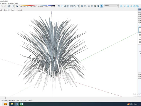 Hakonechloa - forest grass 3D Model