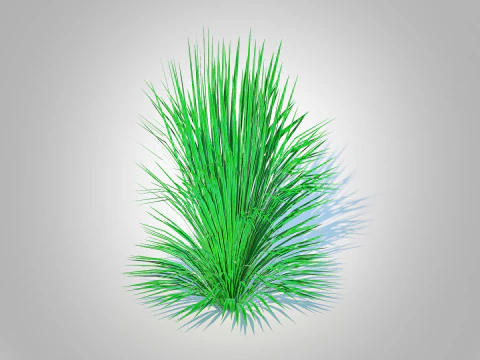 Helictotrichon sempervirens - blue oat grass 3D Model