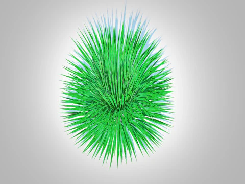 Helictotrichon sempervirens - blue oat grass 3D Model