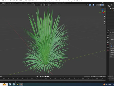 Helictotrichon sempervirens - blue oat grass 3D Model