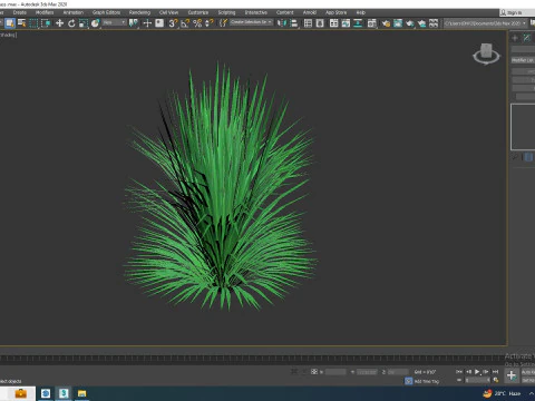 Helictotrichon sempervirens - blue oat grass 3D Model