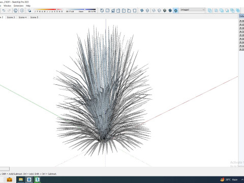 Helictotrichon sempervirens - blue oat grass Model 3D