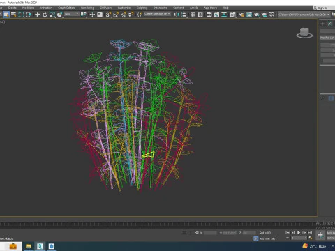 Helleborus orientalis - Lenten rose Pink 3D Model