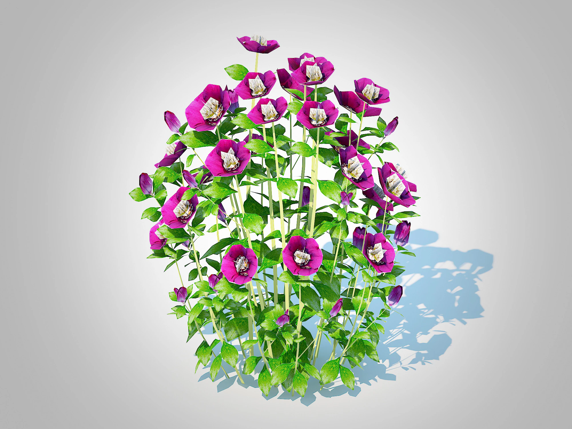 Helleborus orientalis - Lenten rose Purple 3D Model .c4d .max .obj .3ds .fbx .stl .blend
