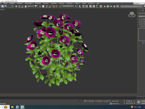 Helleborus orientalis - Lenten rose Purple 3D Модель