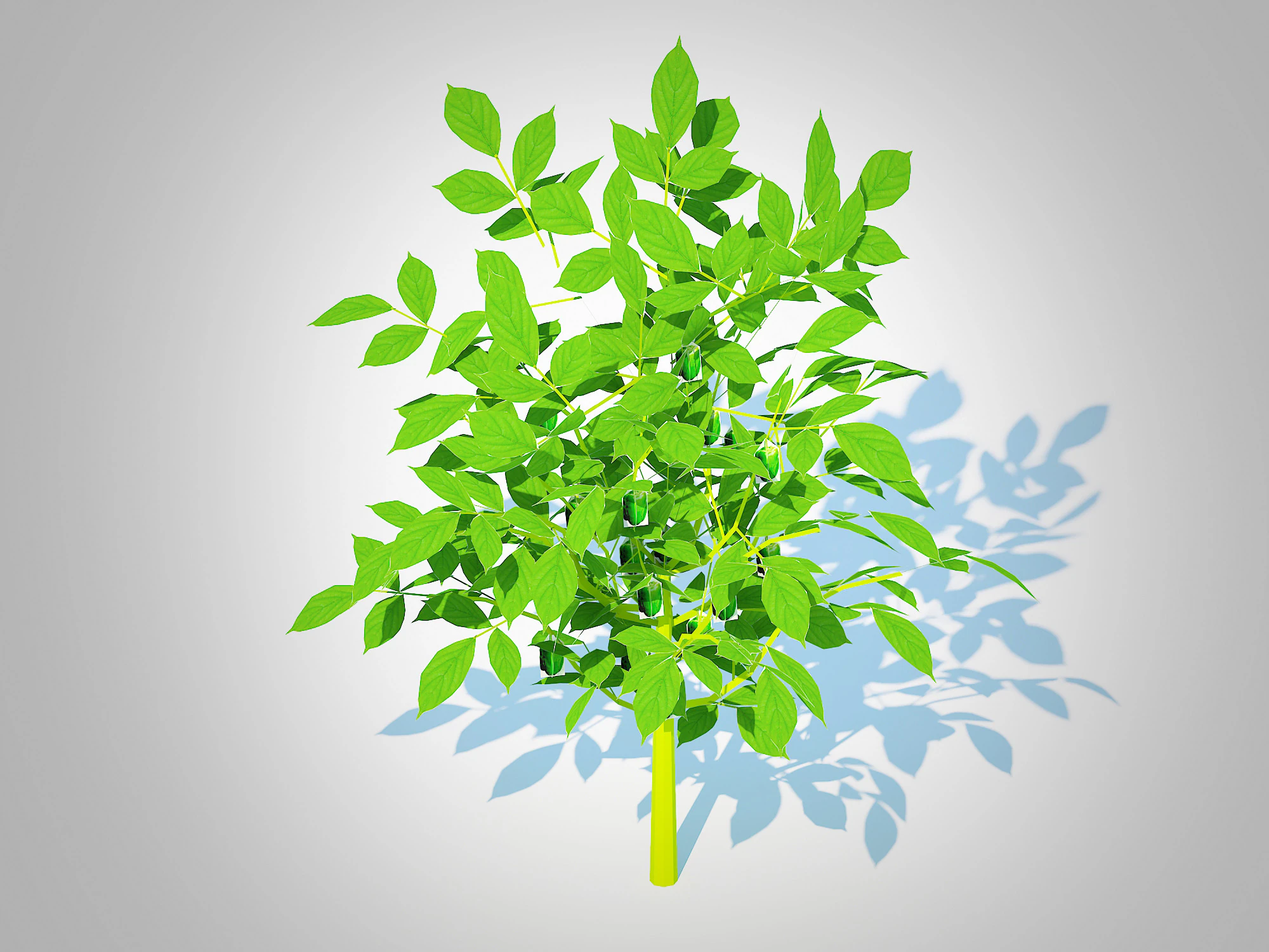 Bell Pepper-green 3D Model .c4d .max .obj .3ds .fbx .stl .blend