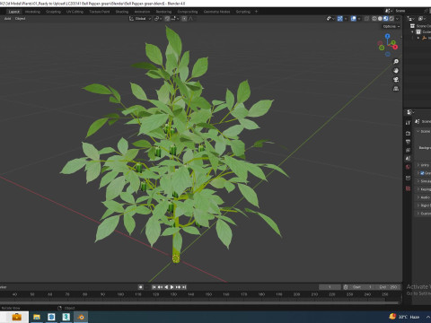Bell Pepper-green 3D-Modell